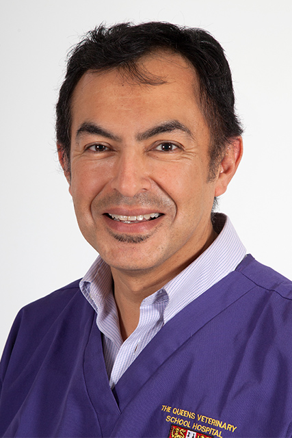 Fernand Constantino Casas Pathologist