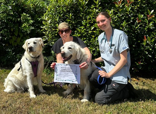 Lexi the dog receiving her certificate for her treatment from a final year students at the Vet School, Cambridge