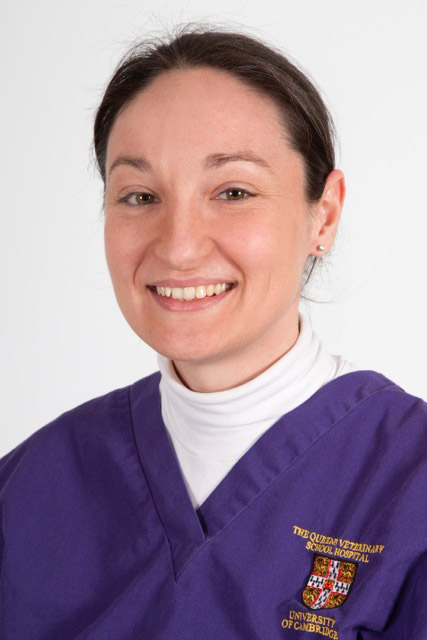 Valentina Brioschi Valentina Brioschi