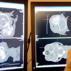 diagnostic imaging