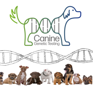 Canine Genetic Testing path